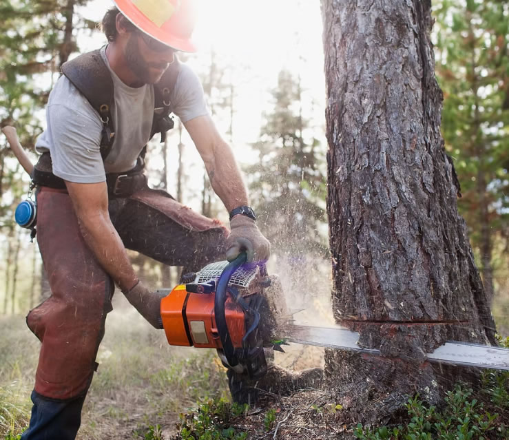 tree_pruning