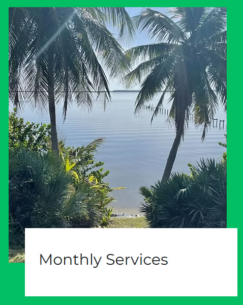 tree_removal_vero_beach